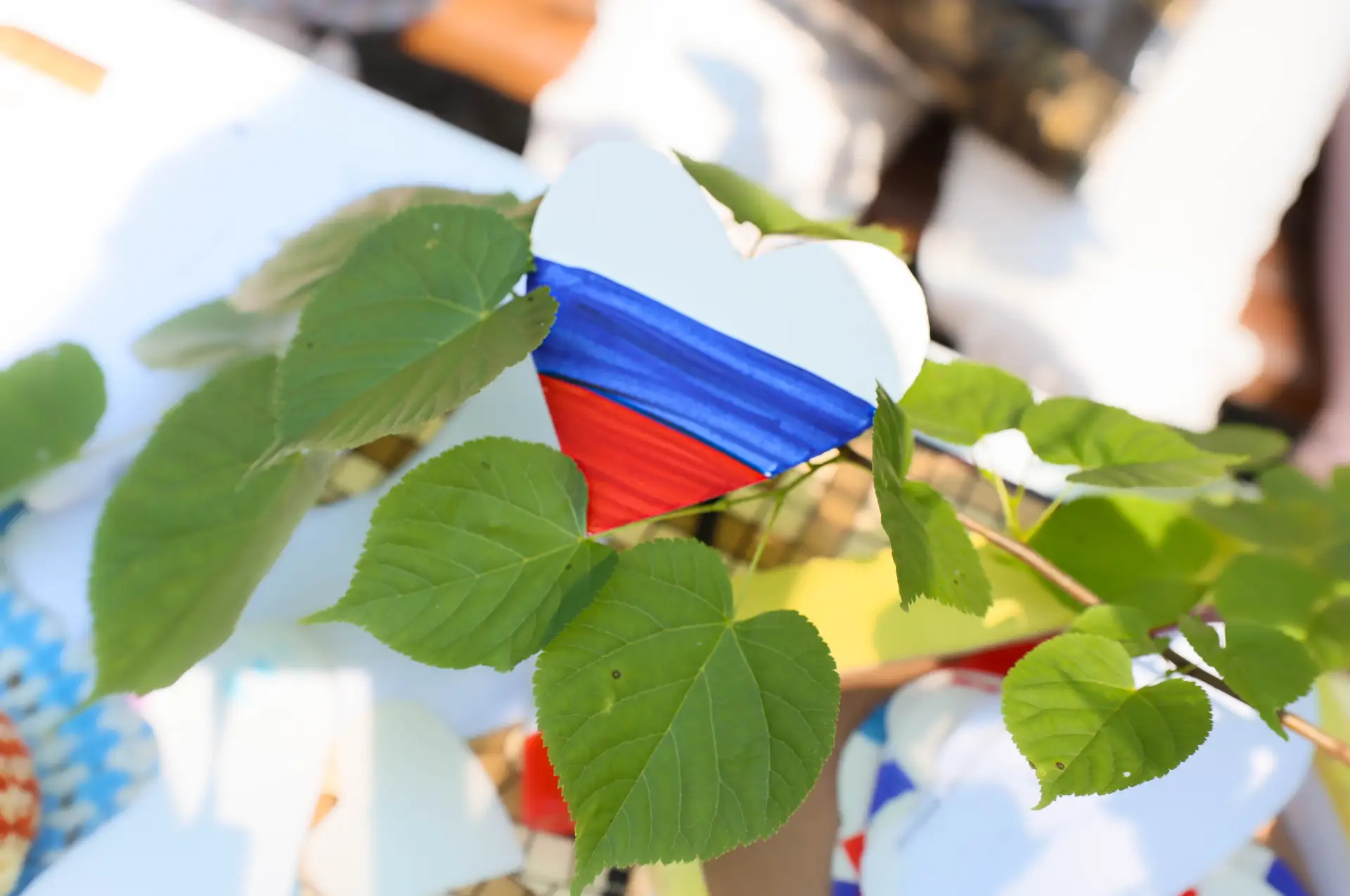 Фестиваль «Моя Россия»: энергия и творчество!