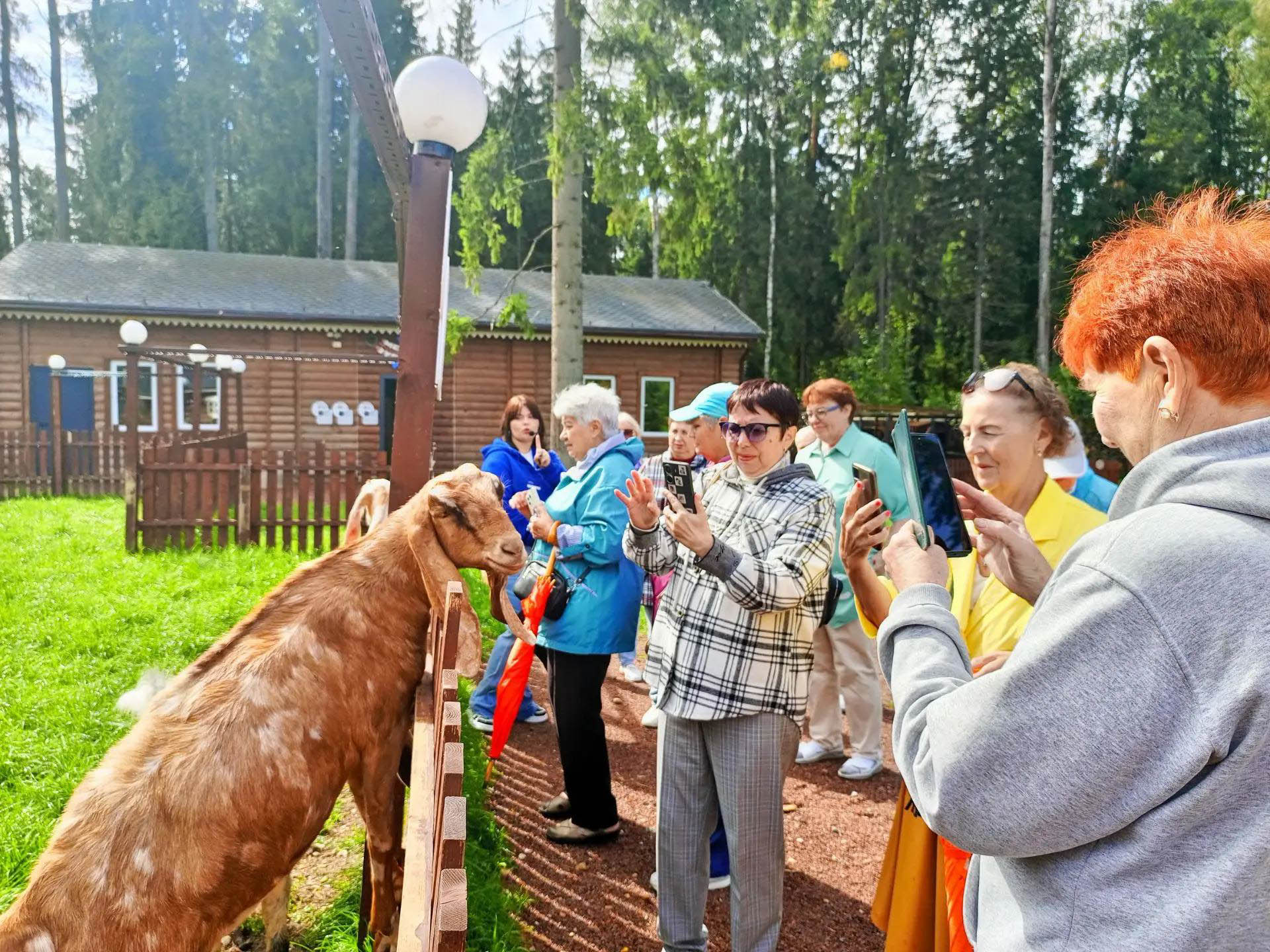 Природная терапия